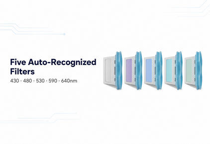 Five Auto-Recognized Filters
